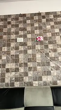 Sophia cyrus11 online show from 19, 4, 2026