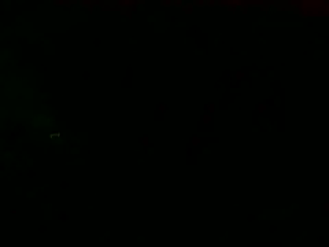 PureNude online show from 24, 2, 2025