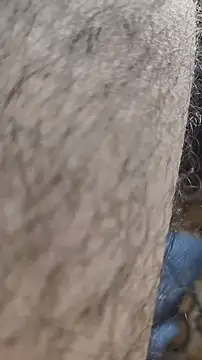 niyack69 online show from 31, 1, 2026