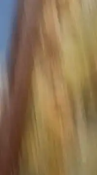 mksharma-mastlund online show from 21, 1, 2025