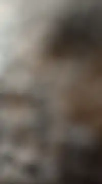 mksharma-mastlund online show from 27, 1, 2025