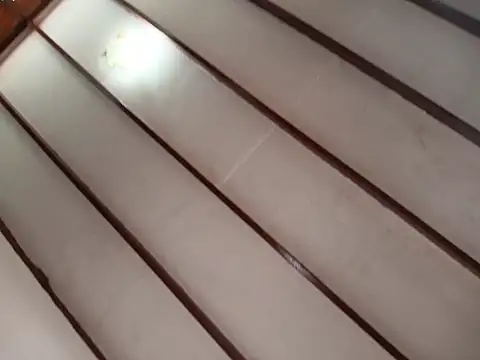 Rocket1978 online show from 10, 2, 2026