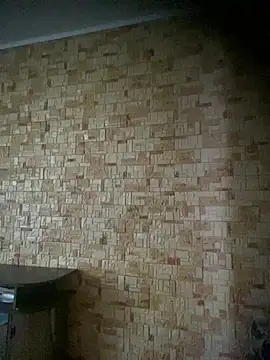 Prolisok473 online show from 28, 2, 2025