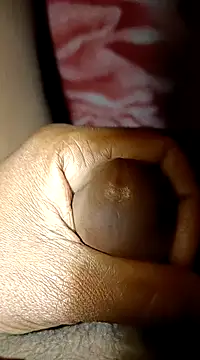 biharihot online show from 12, 1, 2025