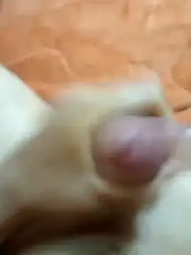 mmarvis za78 93 21cm online show from 25, 1, 2025