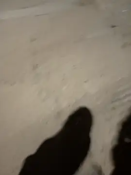 the queen of street online show from 8, 1, 2025