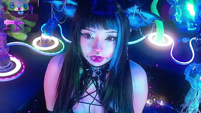 LaytonBox online show from 19, 3, 2026