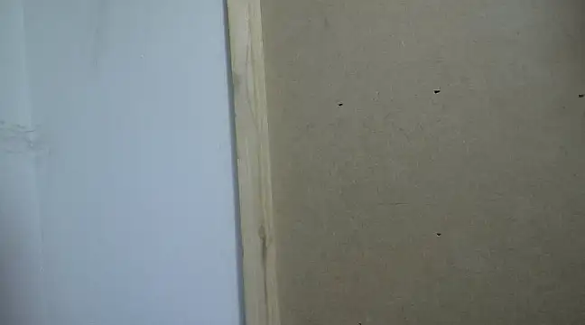 filthymind619 online show from 16, 1, 2025