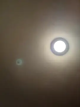 MrDaddyBbSnake online show from 18, 1, 2025