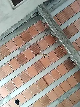 safado0027 online show from 31, 10, 2025