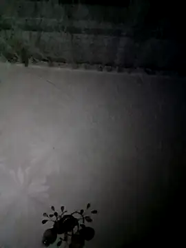 AlexKr95 online show from 9, 1, 2025