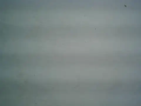 Snapshot of michel1520 chatting on 9, 6, 2026 michel1520 online show from 9, 6, 2026