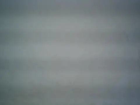 Snapshot of michel1520 chatting on 12, 6, 2026 michel1520 online show from 12, 6, 2026