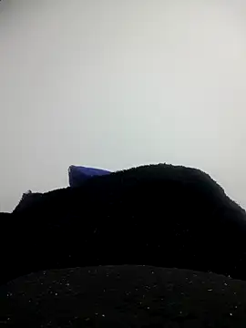 CHARLOTTE 1711 online show from 11, 10, 2025