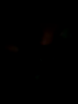 KisSsu online show from 9, 1, 2026