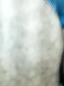 HGKNSS online show from 10, 4, 2026