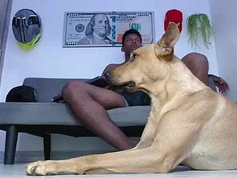 Master foot  online show from 29, 4, 2026