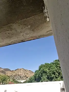 DrakeVega online show from 5, 3, 2025