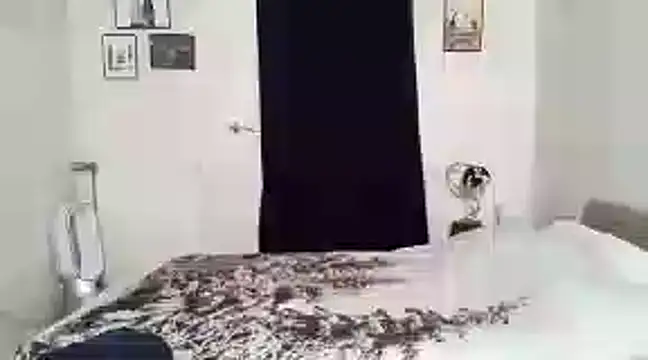 alexandrezeke online show from 27, 2, 2025