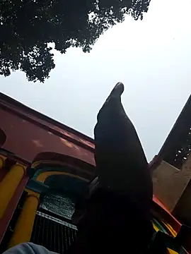 xx54362 online show from 1, 3, 2025