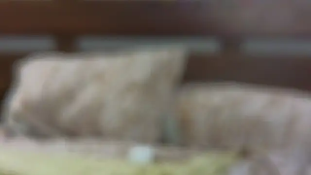 SallyCha online show from 18, 2, 2025