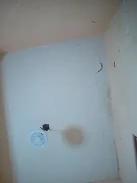 Snapshot of LuisMex1998 chatting on 14, 11, 2025 LuisMex1998 online show from 14, 11, 2025