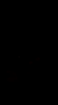 Raj41 online show from 1, 3, 2025