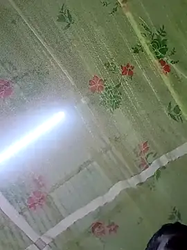 Raj41 online show from 29, 11, 2025