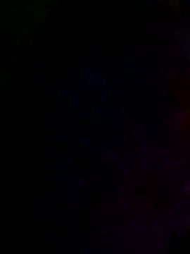 Raj41 online show from 16, 1, 2026