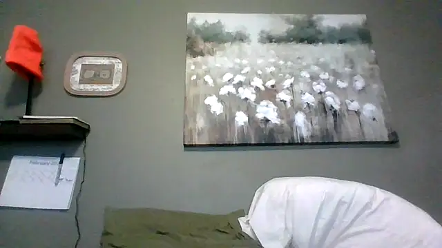 Snapshot of HarvryBlaze chatting on 16, 2, 2026 HarvryBlaze online show from 16, 2, 2026