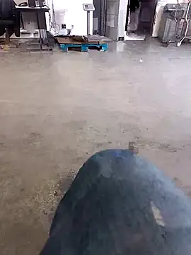 Trixboy201 online show from 29, 9, 2025