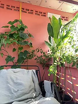 White Lu online show from 14, 4, 2026