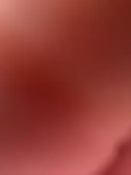 Snapshot of paullliliu chatting on 26, 2, 2026 paullliliu online show from 26, 2, 2026