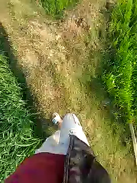 Extrembox5 online show from 26, 1, 2025