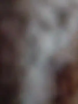 mhmia online show from 12, 2, 2026