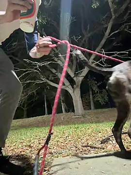 sexyhotstud12 online show from 18, 2, 2025