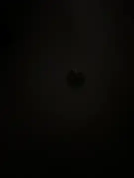 Boneca25 online show from 5, 2, 2026