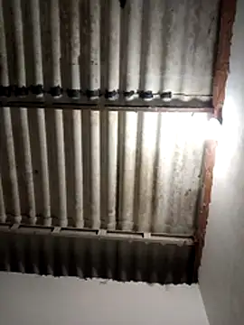 LoonyIdiot online show from 8, 4, 2026