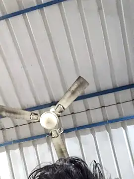 birds0641 online show from 25, 2, 2025