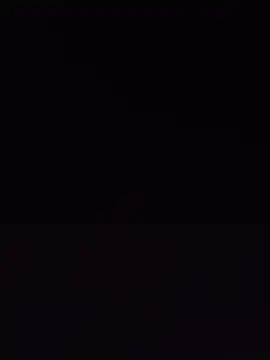 birds0641 online show from 9, 10, 2025