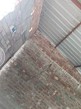 birds0641 online show from 24, 10, 2025