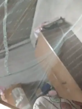 birds0641 online show from 31, 3, 2026