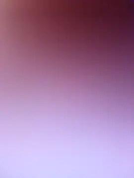 wadmma online show from 19, 2, 2026