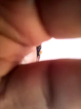 bigcock thick online show from 1, 3, 2025