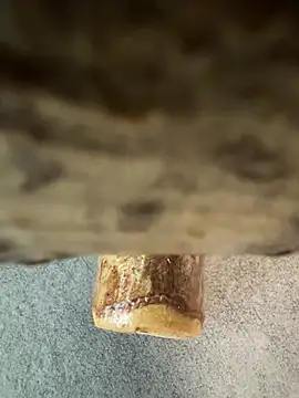 Snapshot of fuocovivo4 chatting on 30, 1, 2025 fuocovivo4 online show from 30, 1, 2025