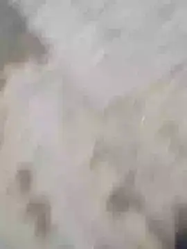 Hot funky boy online show from 3, 2, 2025