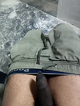 omni 333 online show from 19, 1, 2026