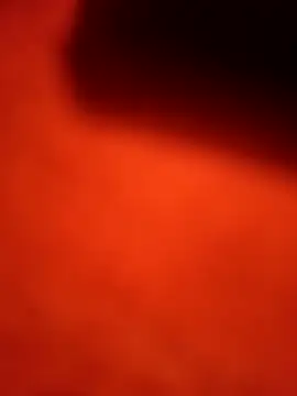 Snapshot of dominationmybigdick chatting on 22, 9, 2025 dominationmybigdick online show from 22, 9, 2025