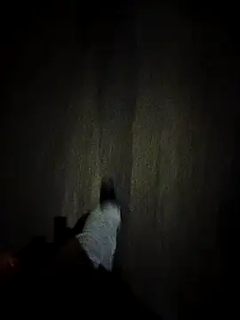 Snapshot of dominationmybigdick chatting on 27, 10, 2025 dominationmybigdick online show from 27, 10, 2025