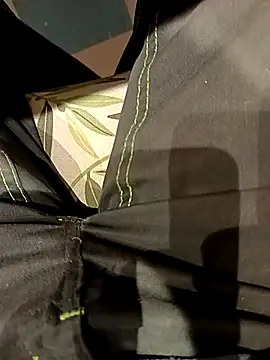 Snapshot of Dam70 chatting on 15, 11, 2025 Dam70 online show from 15, 11, 2025